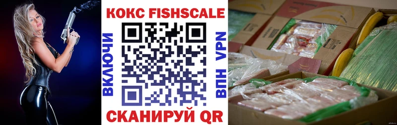 Купить где  Дигора  COCAIN 97% 