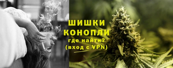 Альфа ПВП Корсаков