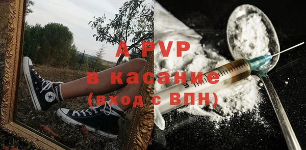 гидра Костерёво