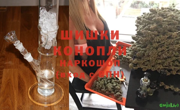гидра Костерёво