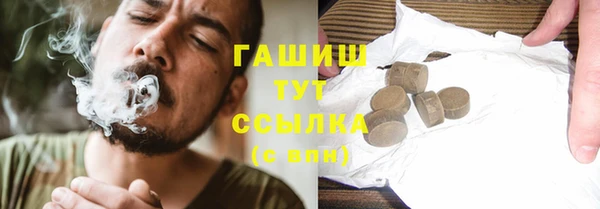гидра Костерёво