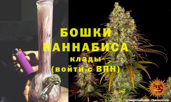 гидра Костерёво