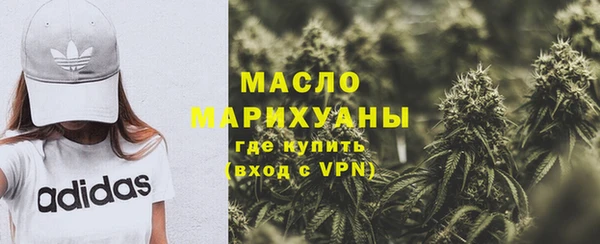 гидра Костерёво