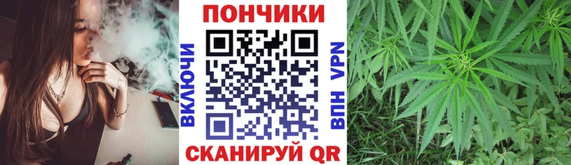 Купить где  Дигора  Бошки марихуана план 